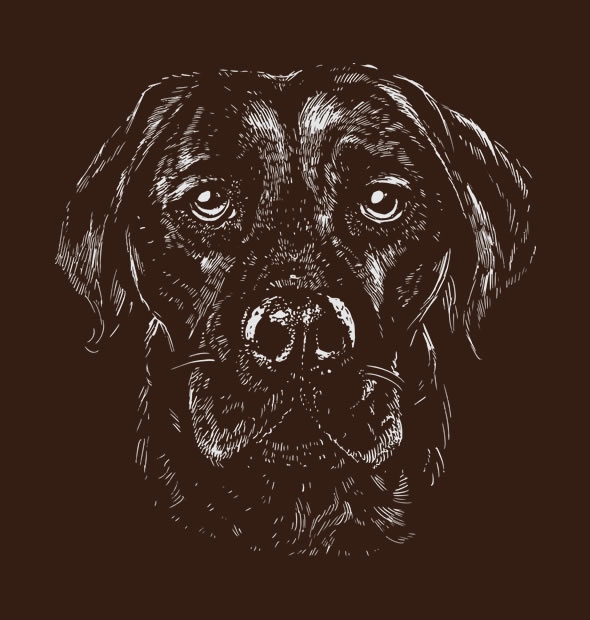 Camiseta Labrador