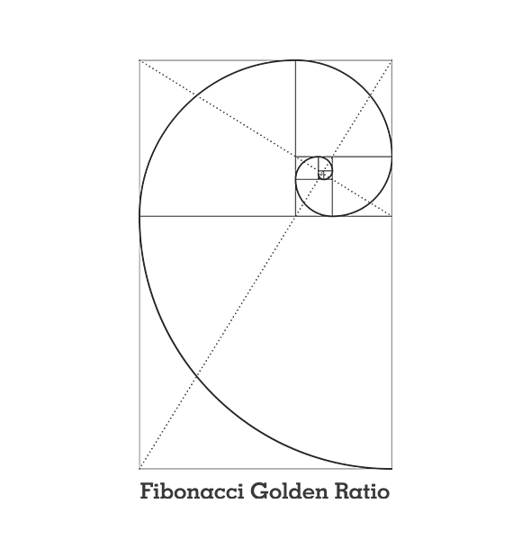 Camiseta Fibonacci