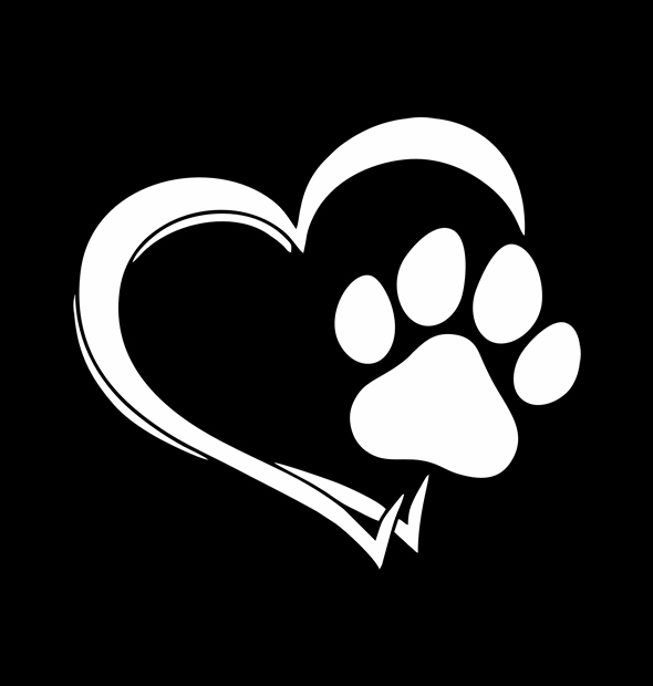 Camiseta Coração Dog