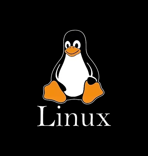 Camiseta Linux